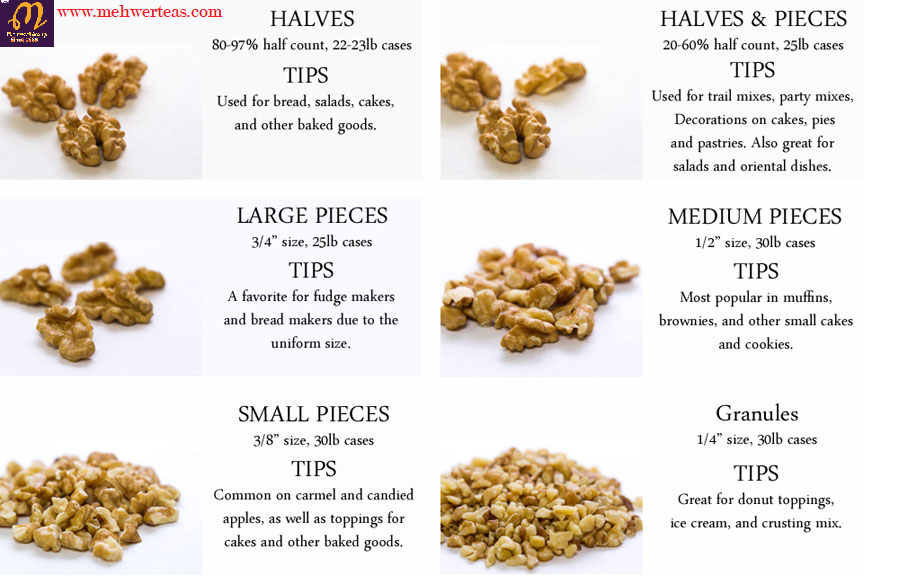 W-Kernel colour & size W-Kernel-colour