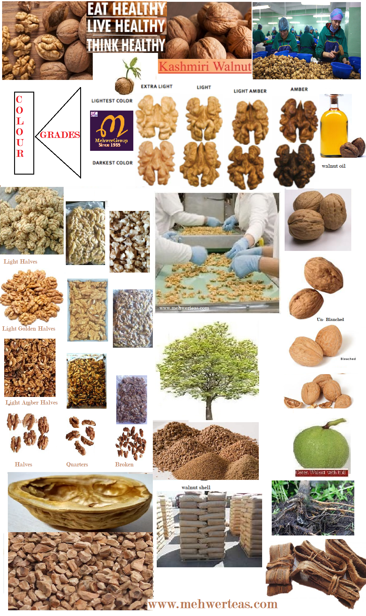 WALNUT WALNUT