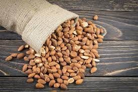 Best Bitter Apricot Kernels