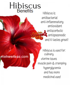 HS-Hibiscus-300x300