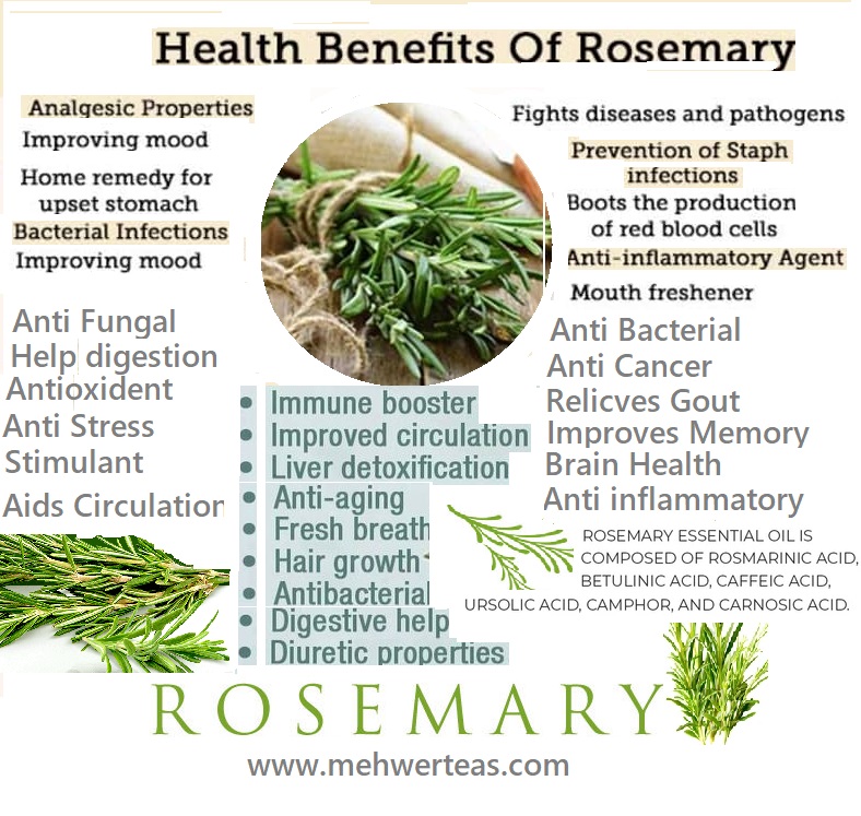 Health-Benefits-Of-Rosemary