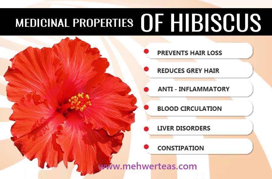 Hibiscus Flower.,