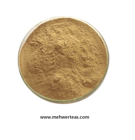 Horsetail-Extract-Powder-