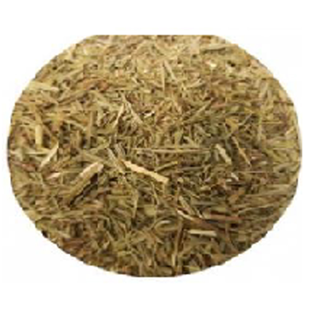 Horsetail_shavegrass