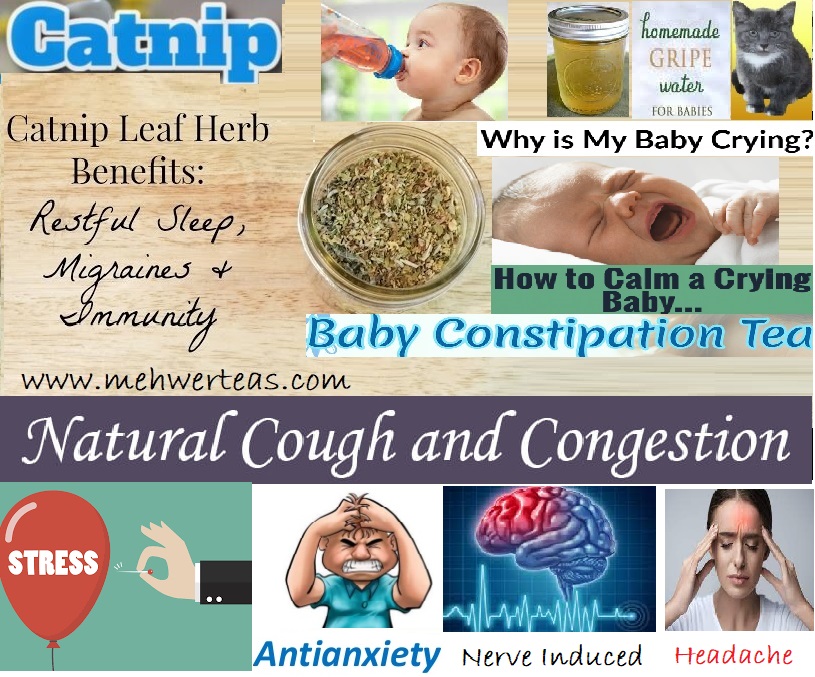 Migraies & Immunity Tea