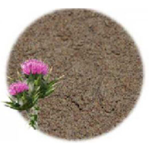 Milk-thistle-seed-powder