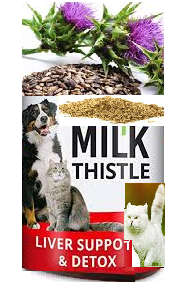 liver suppot & Detox liver-suppot-Detox