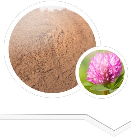 red-clover-powder