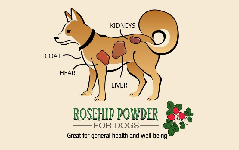 rosehip-powder-for-dogs