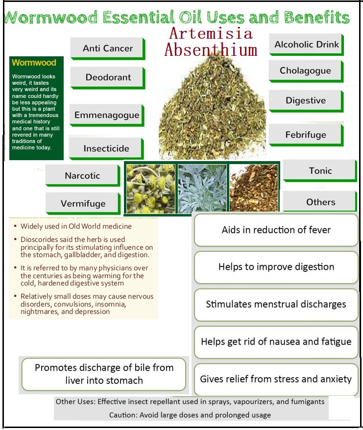Artimisia Absenthium