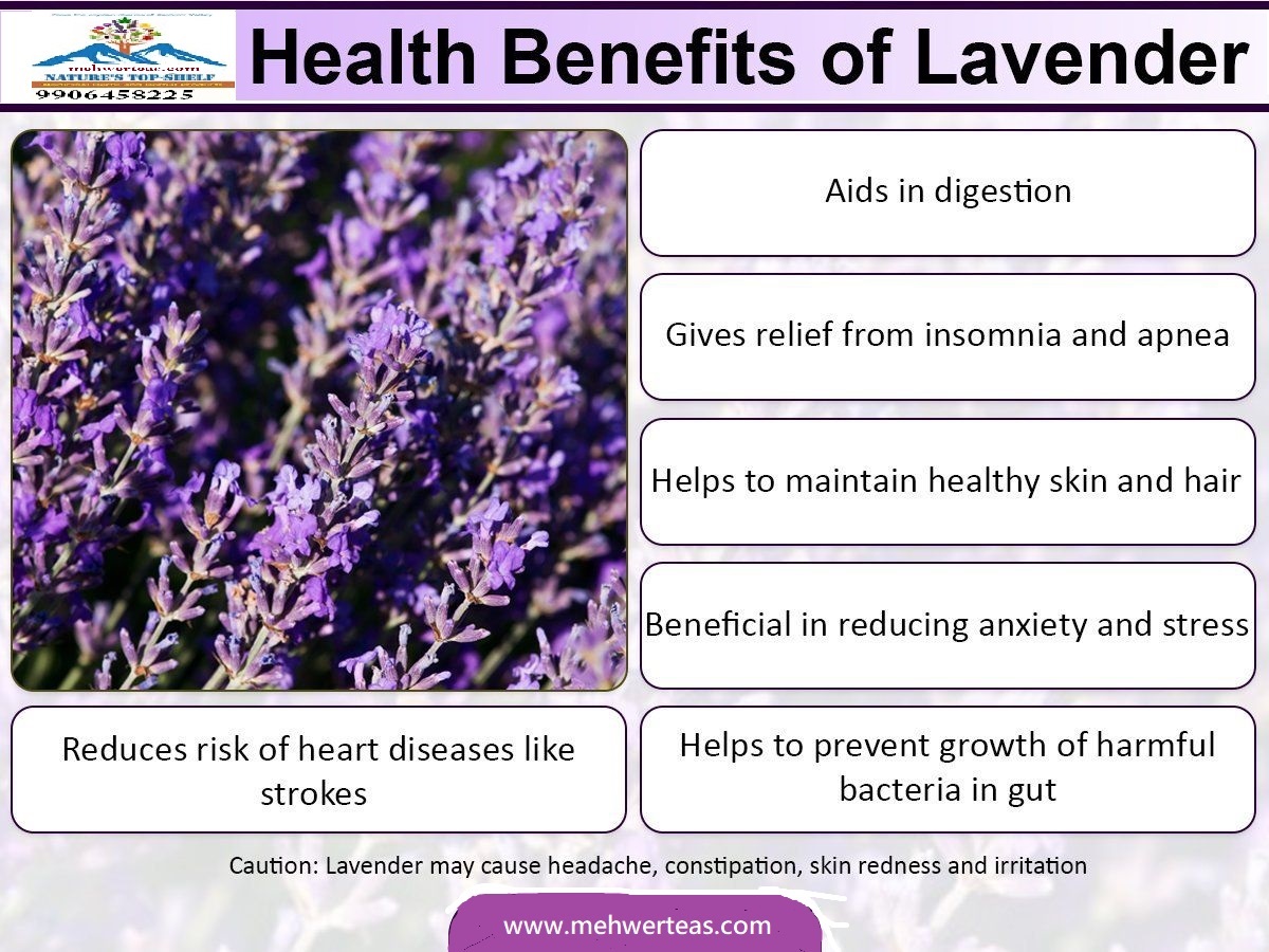 Benefits of Lavender