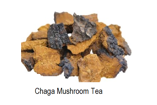Chaga Mushroom