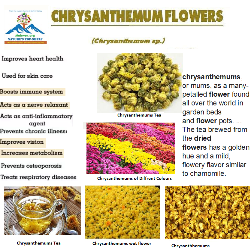 Chrysanthemums Tea Chrysanthemums Tea