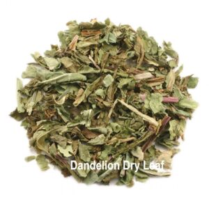 Dandelion Leaf