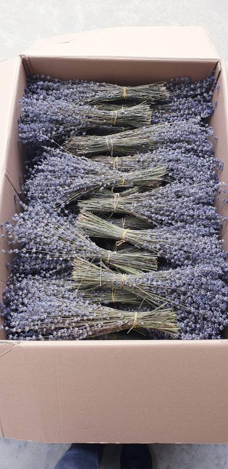 Dried lavender bunches 200 stems