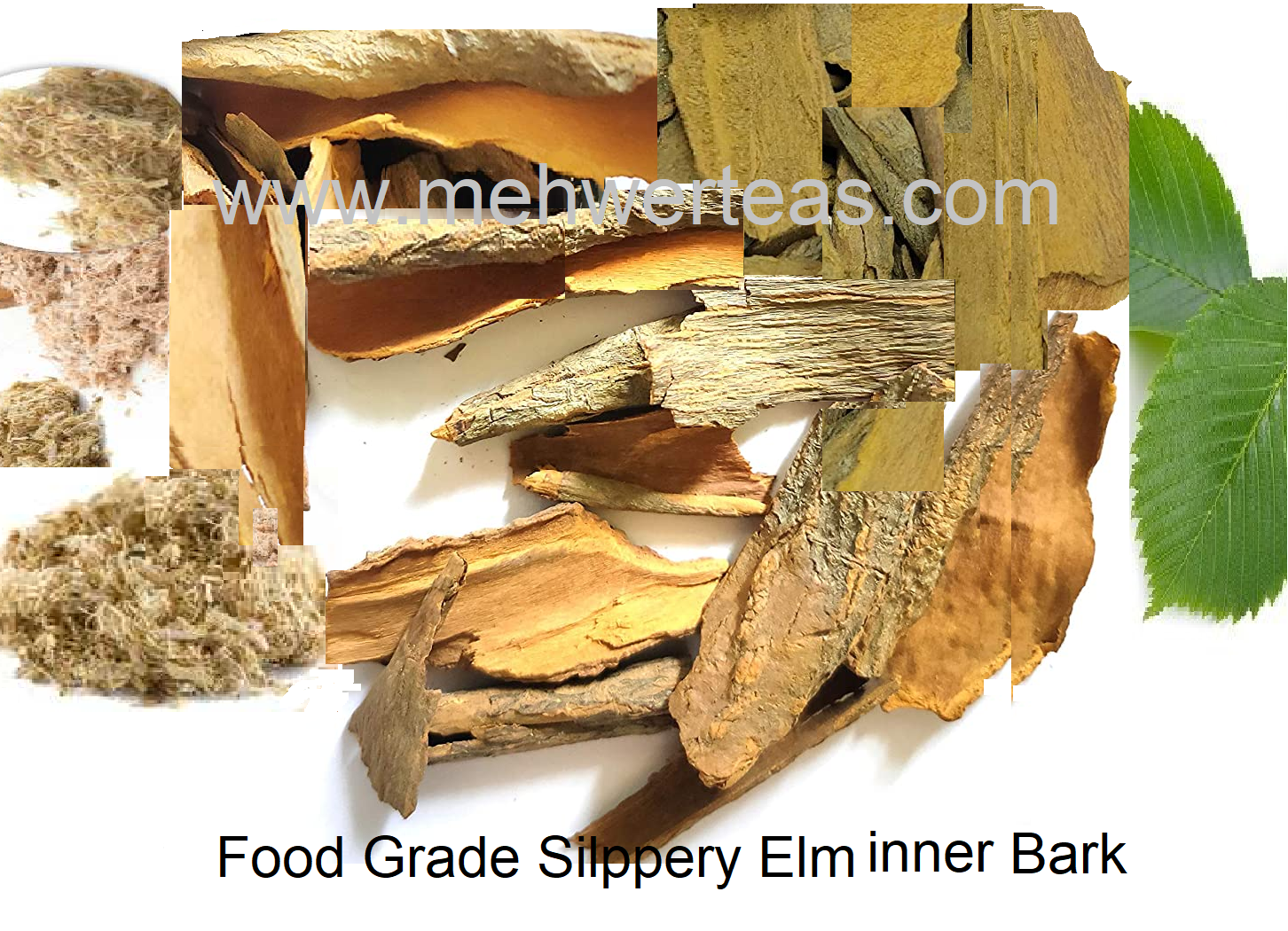 FG-Silppery Elm Bark