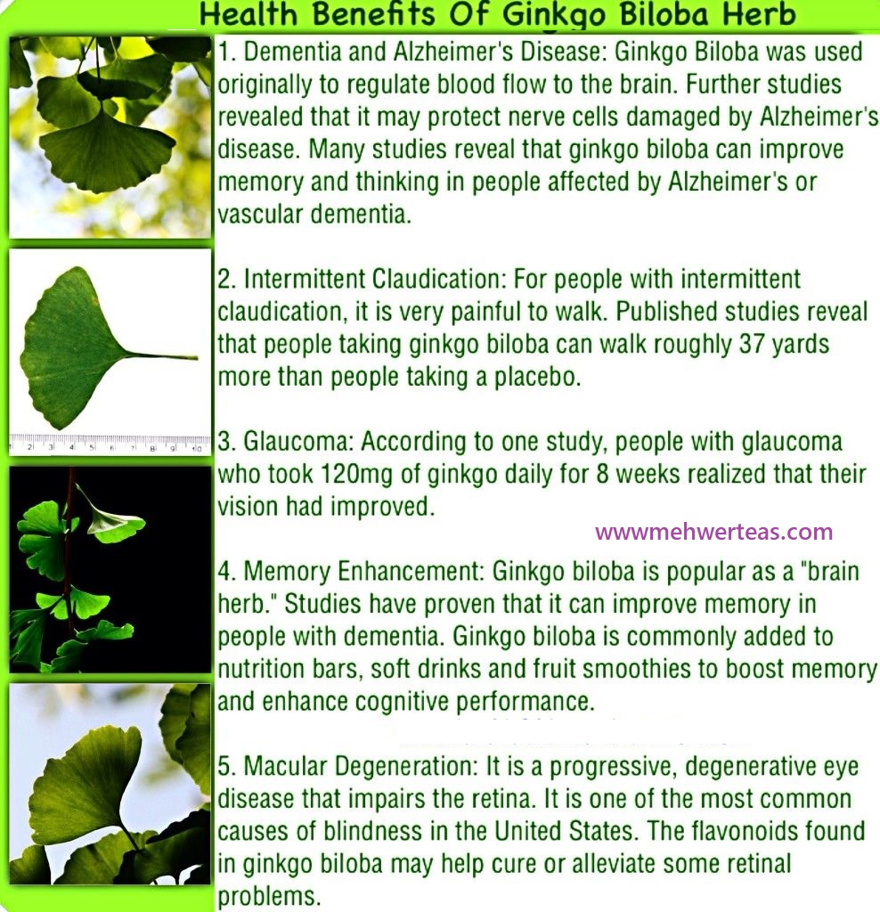 GINKGO BILOBA- BENEFITS