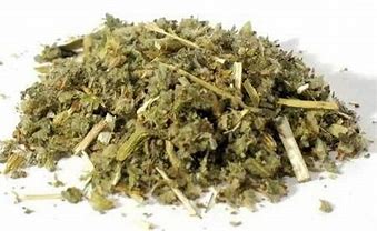 HOREHOUND-HERB