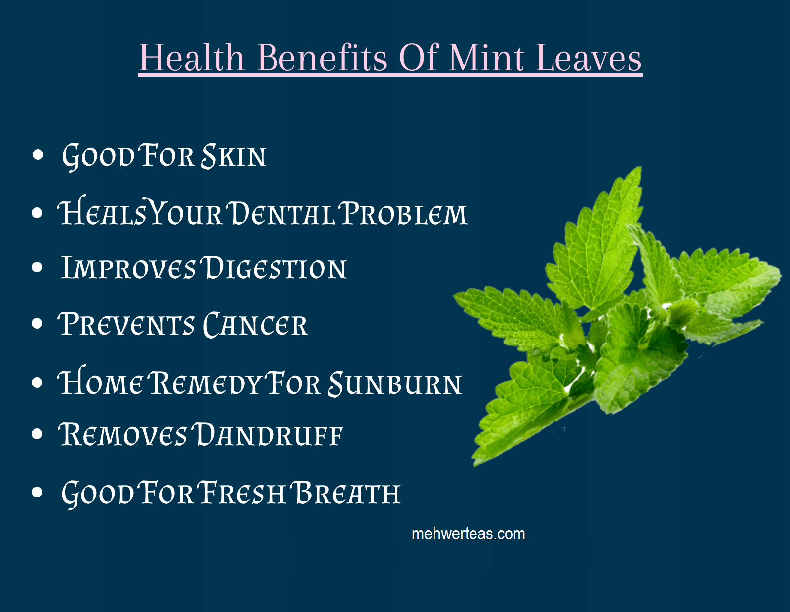 Health-benefits-of-Mint-Leaves
