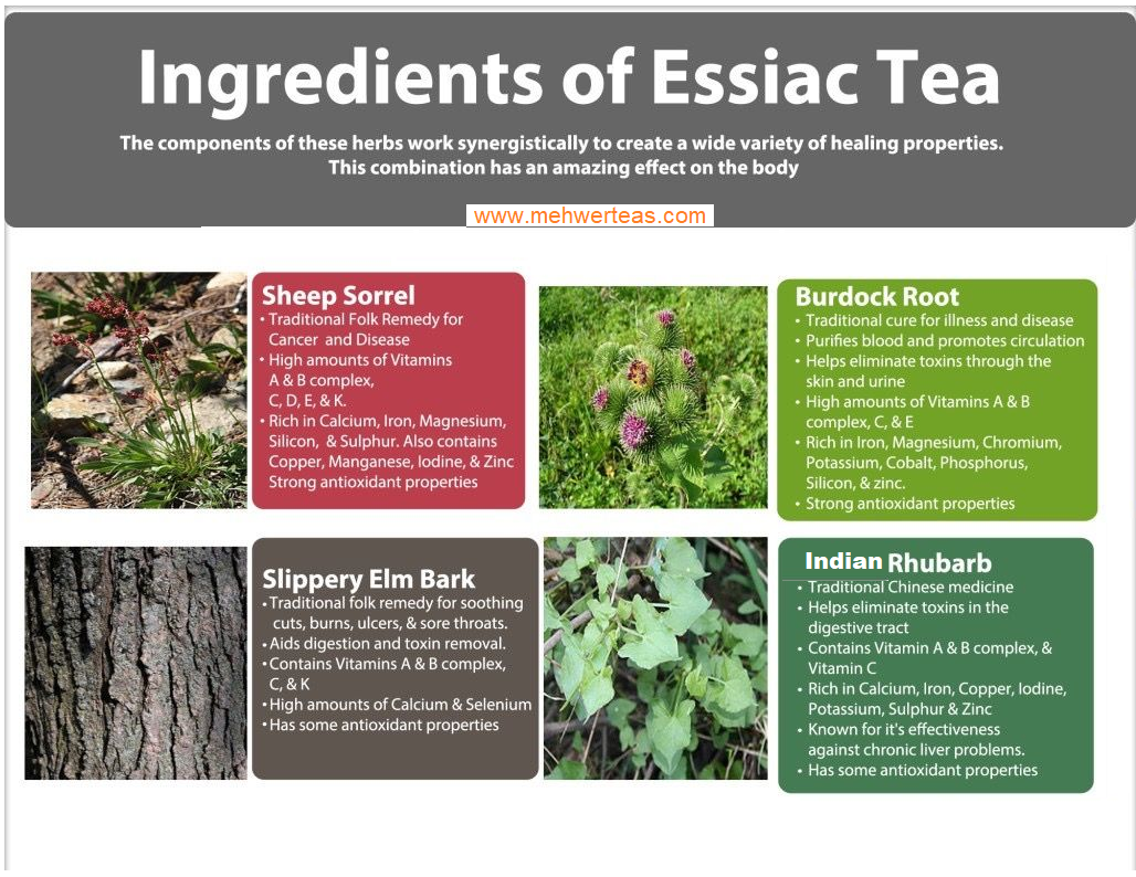 Ingredients of essiac tea