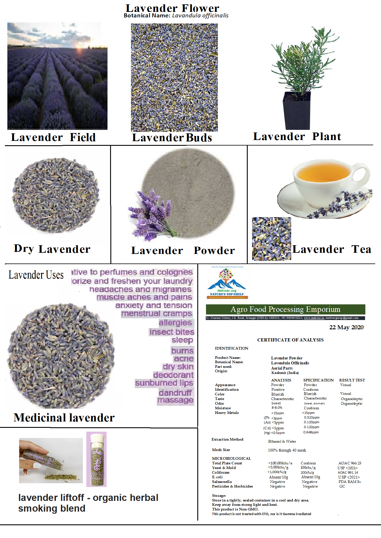 Lavender -Web Page Lavender Flower