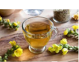 MULLEIN TEA