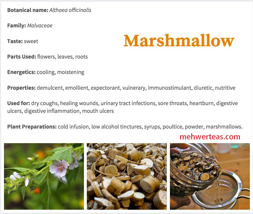 Marsh mallow herb