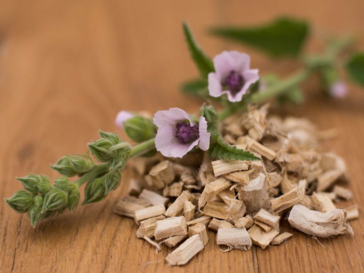 Marshmillow Root Tea