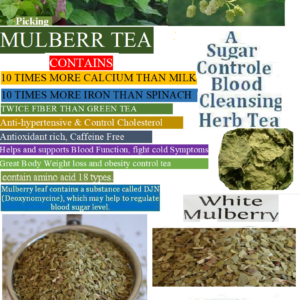 Mulberry leaf