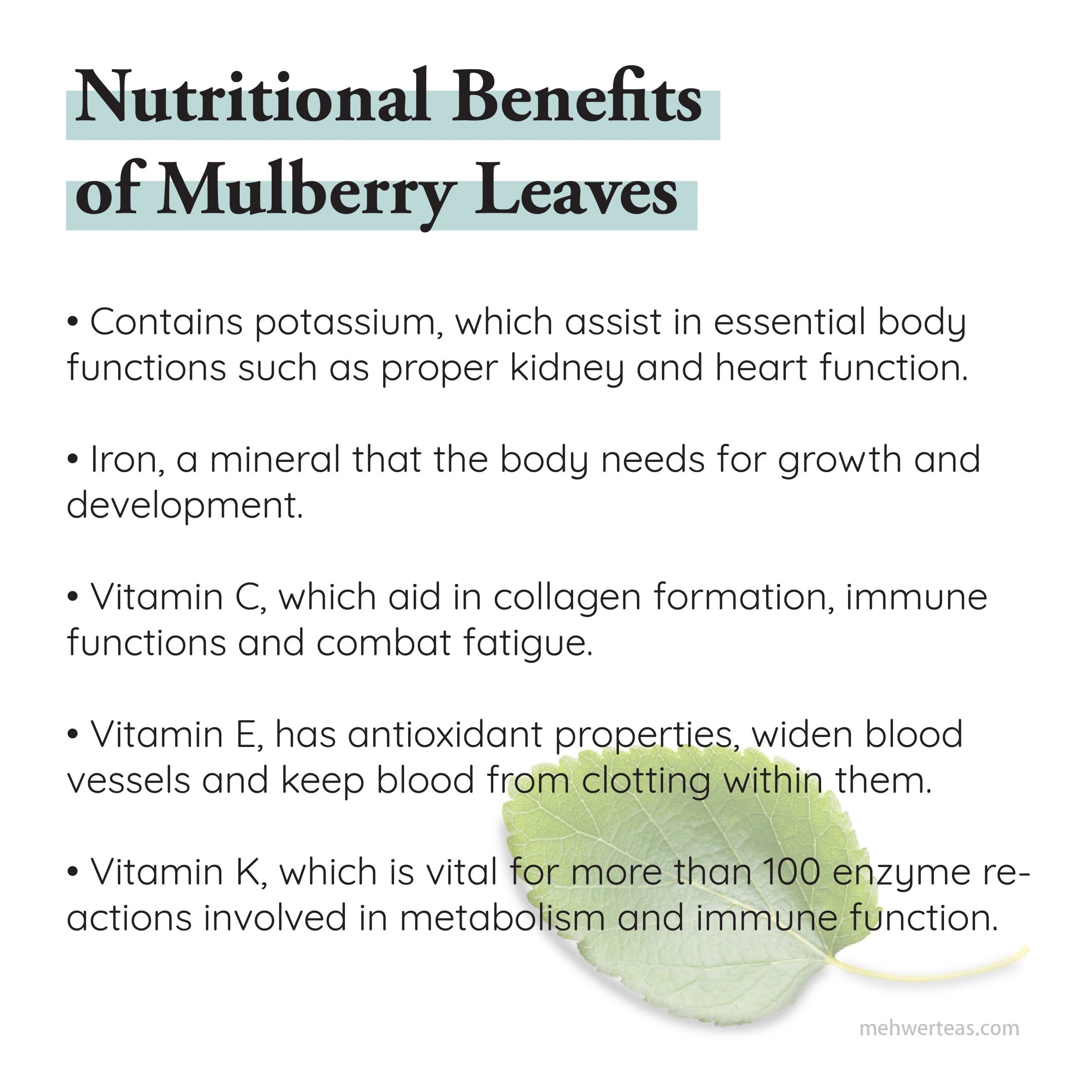Mulberry_Photos