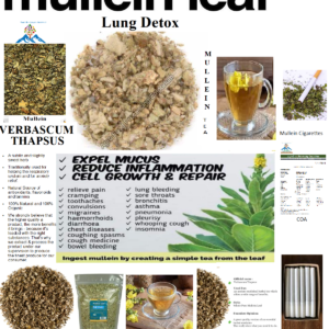 Mullein herb