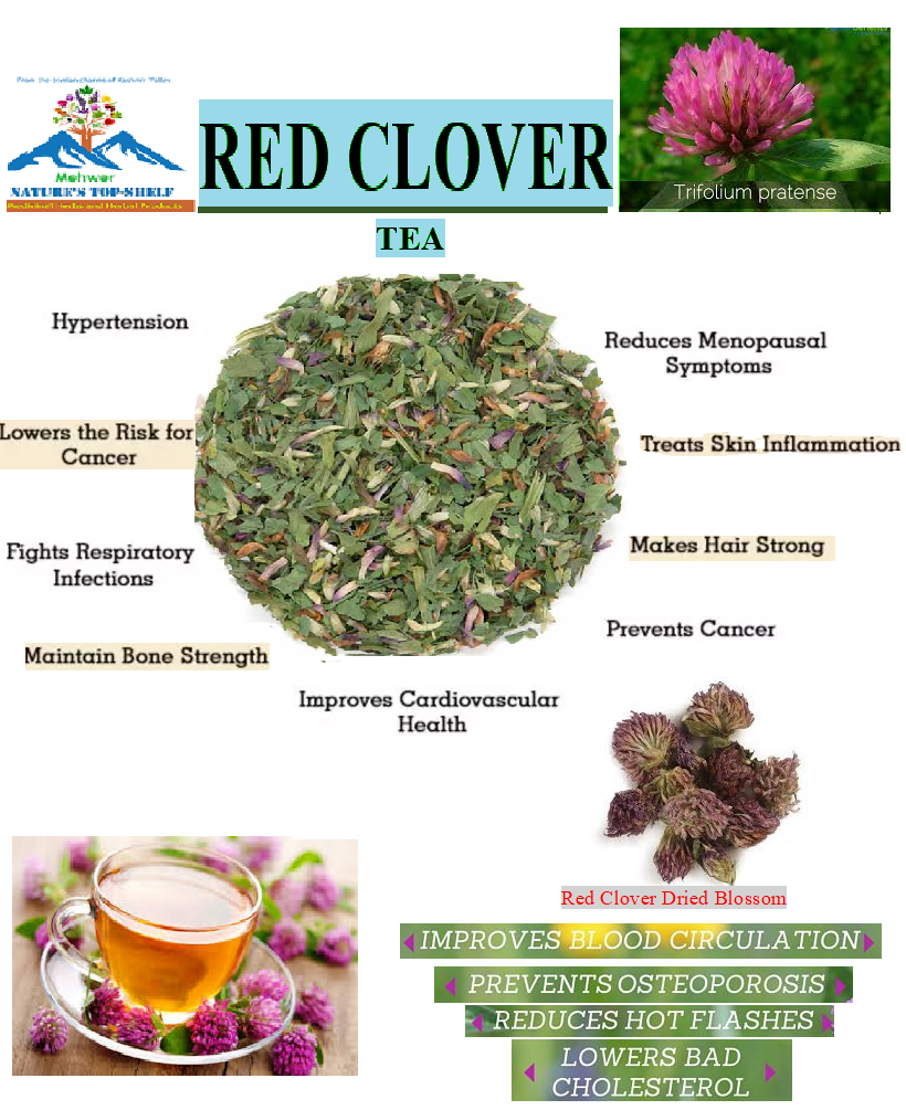 RED CLOVER |Online Herb Store | Mehwerteas....