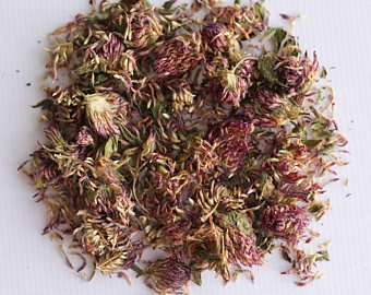 Reclover Blossom Dried