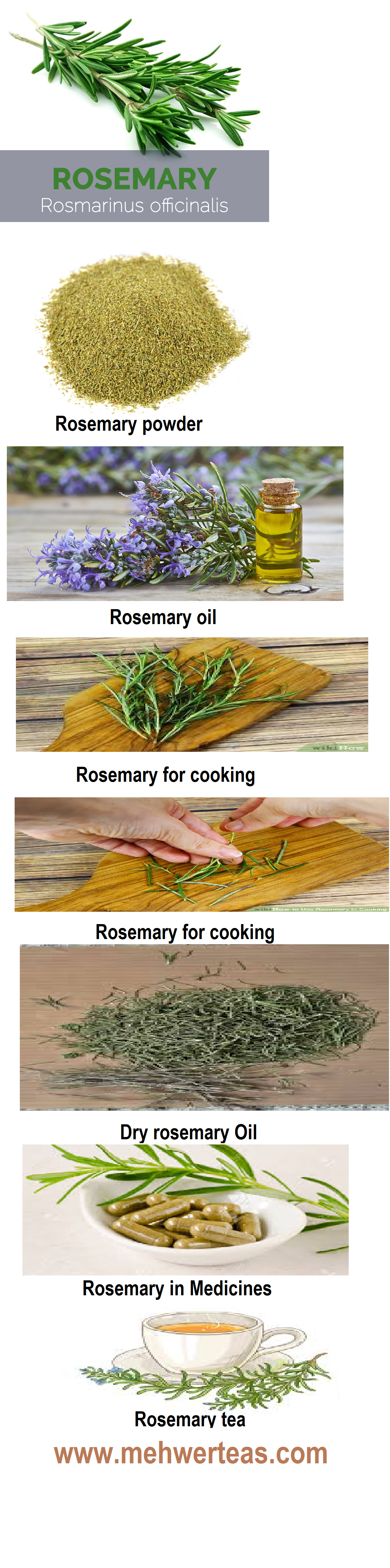 Rosemary Uses Rosemary Uses