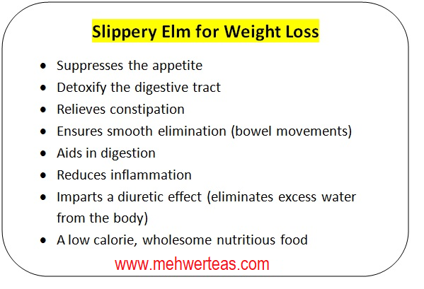 Slippery Elm for weight loss