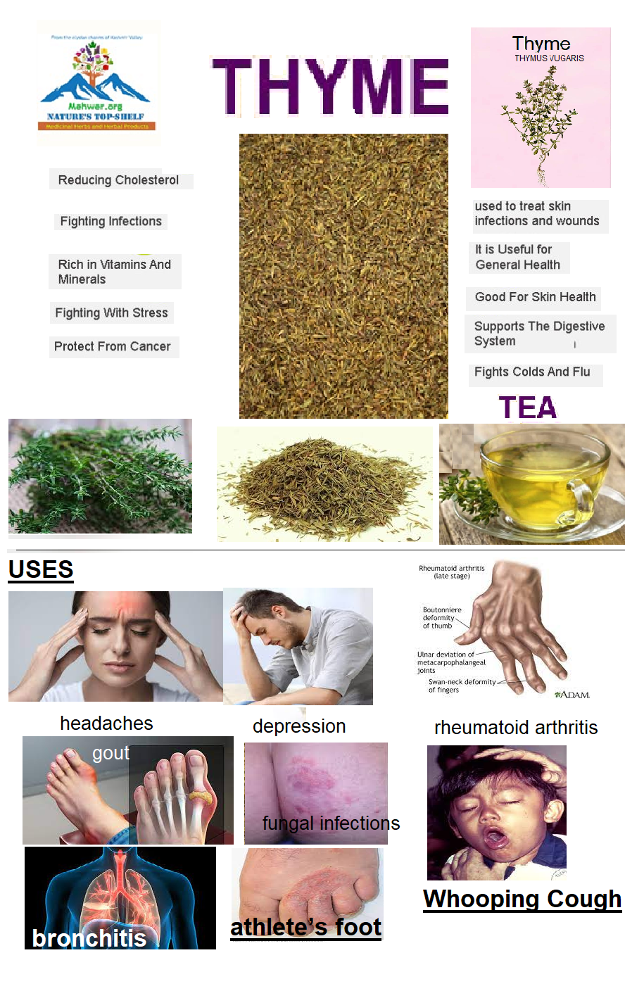 THYME-tEA