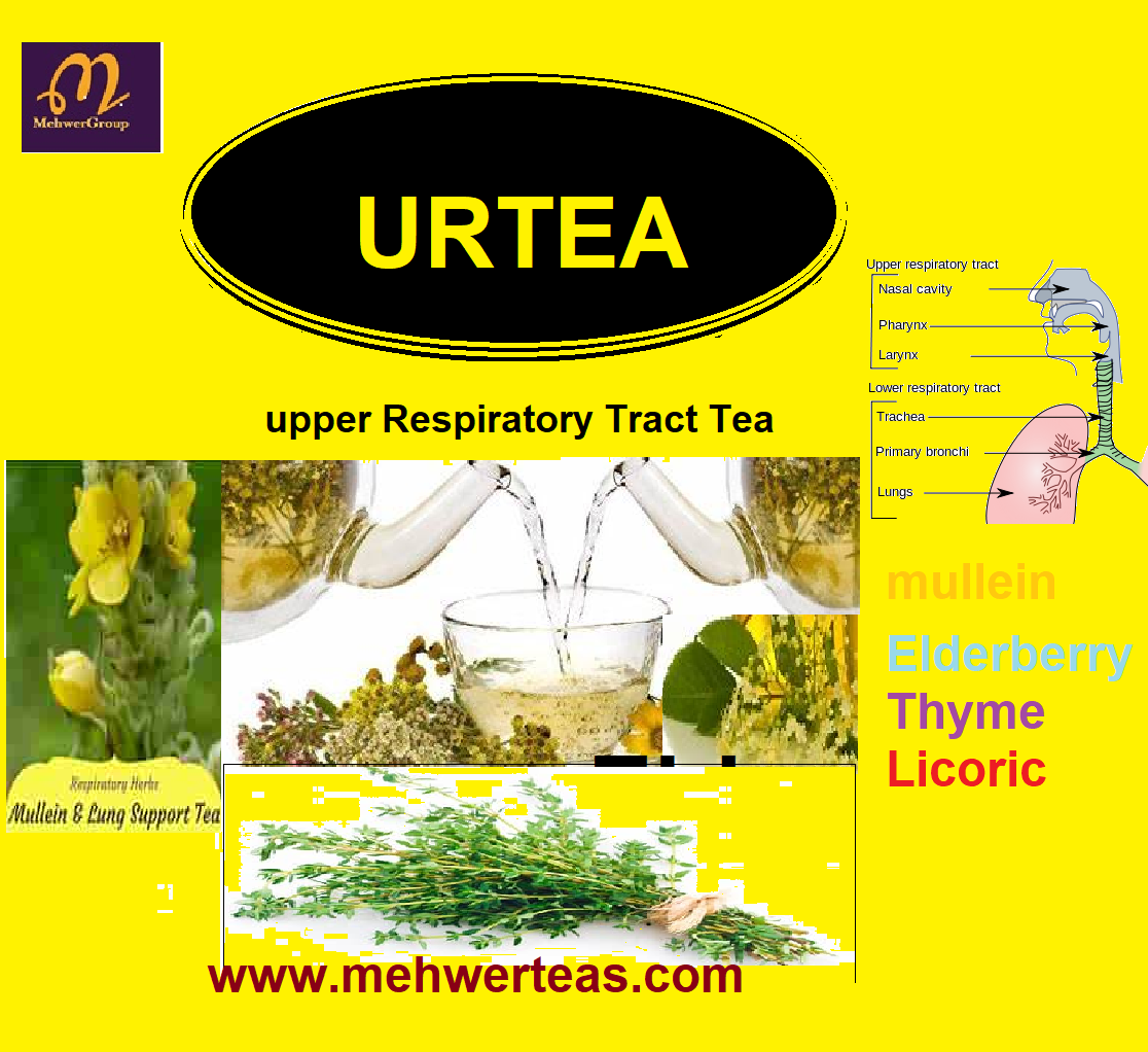 URTEA