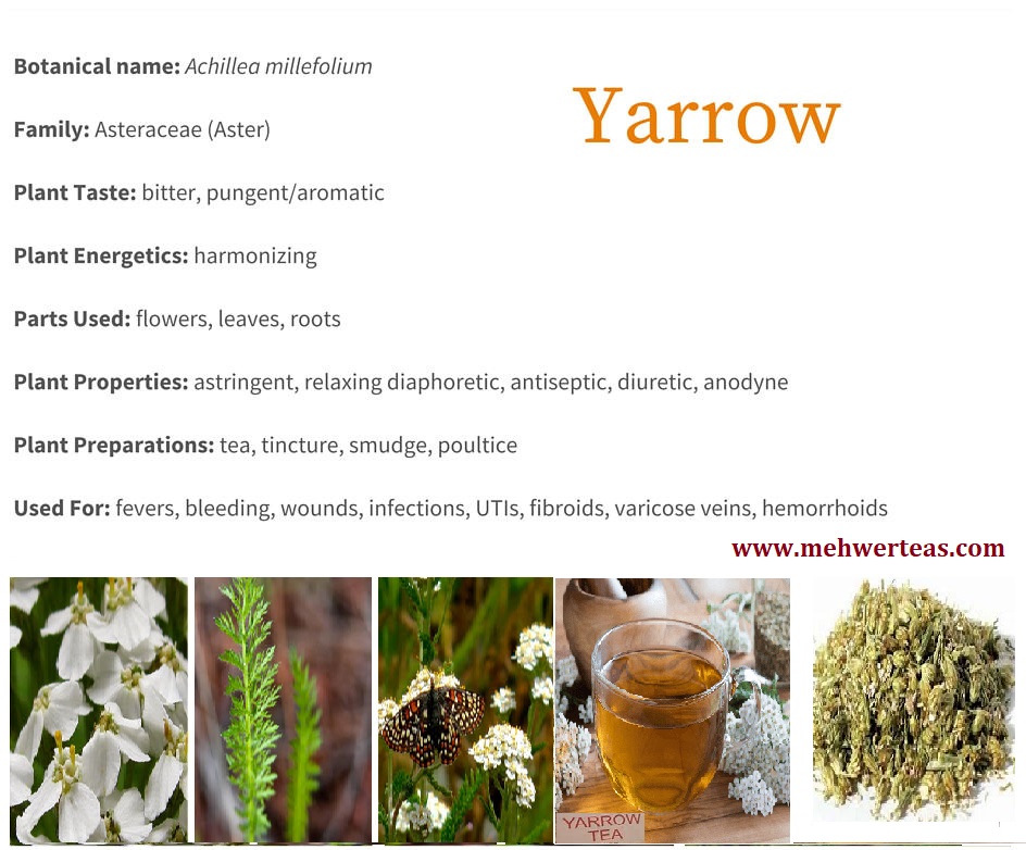 Yarrow-remedies Yarrow-remedies