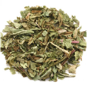 Bulk dandelion leaf Tea