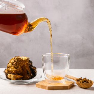 chaga tea