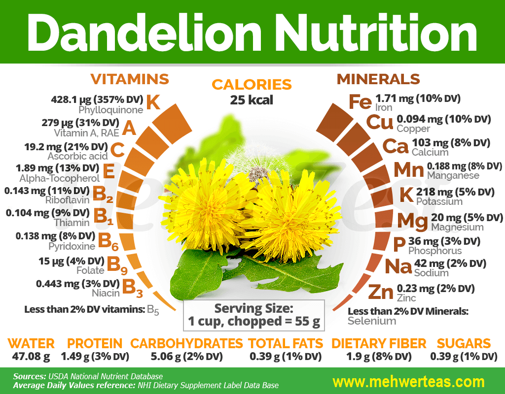 dandelion-nutrition-facts-