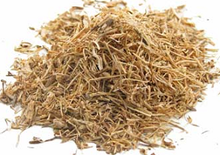 nettle root__