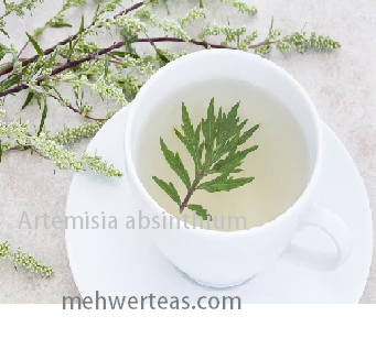wormwood tea
