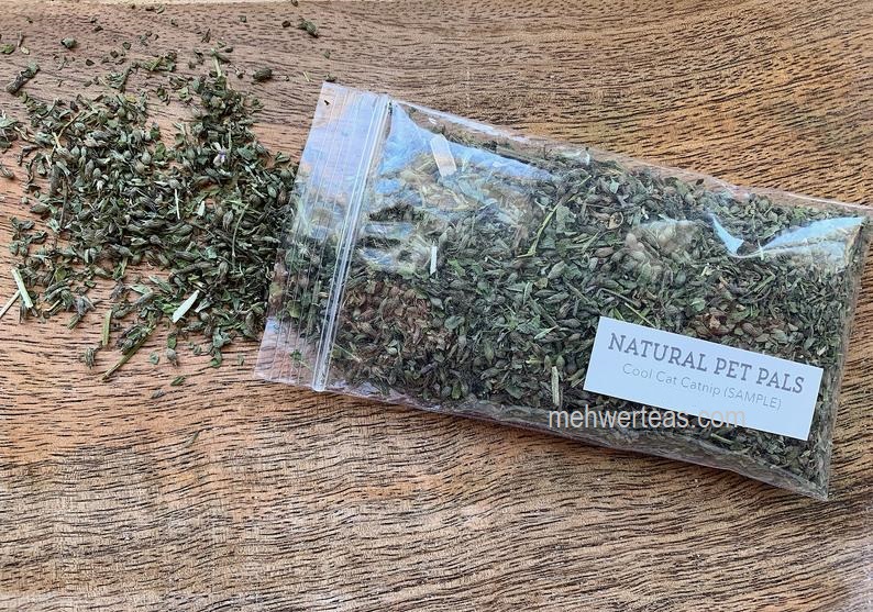 catnip for pets