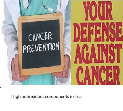 Cancer Prevention