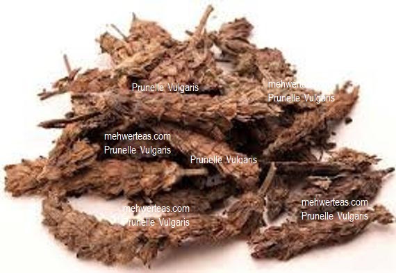Dried Flower Prunelle Vulgaris in Bulk Dried Flower Prunelle Vulgaris in Bulk