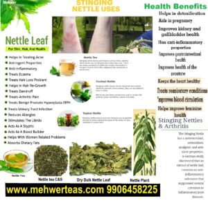 Nettle ( Stinging Nettle)