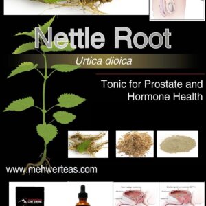 Nettle Root Tea