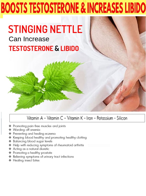 Stinging-Nettle-Can-Increase-Your-Testosterone-Libido