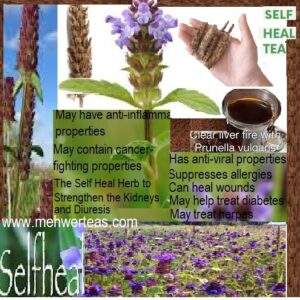 Tea --selfheel